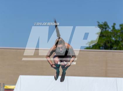 Thumbnail 2 in CIF Girls Diving Championships photogallery.