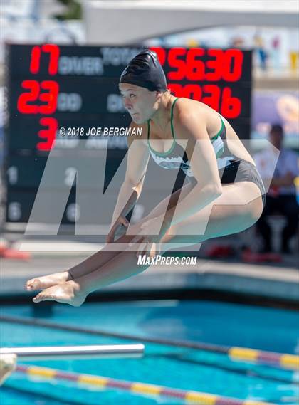 Thumbnail 1 in CIF Girls Diving Championships photogallery.