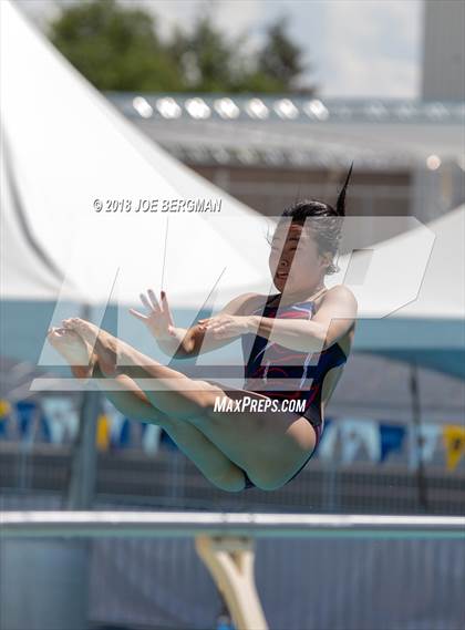 Thumbnail 2 in CIF Girls Diving Championships photogallery.