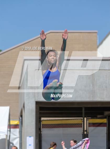 Thumbnail 3 in CIF Girls Diving Championships photogallery.