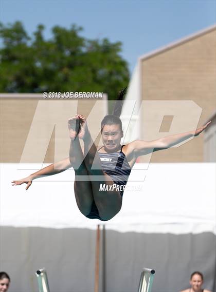 Thumbnail 1 in CIF Girls Diving Championships photogallery.