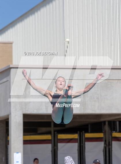 Thumbnail 1 in CIF Girls Diving Championships photogallery.