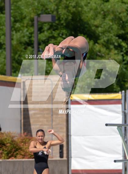 Thumbnail 1 in CIF Girls Diving Championships photogallery.