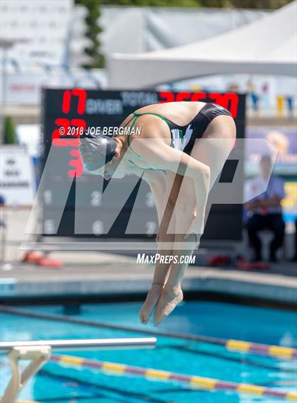 Thumbnail 3 in CIF Girls Diving Championships photogallery.