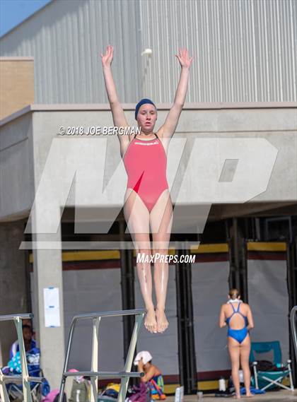 Thumbnail 1 in CIF Girls Diving Championships photogallery.