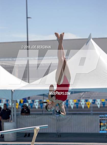 Thumbnail 2 in CIF Girls Diving Championships photogallery.