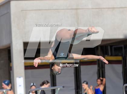 Thumbnail 3 in CIF Girls Diving Championships photogallery.