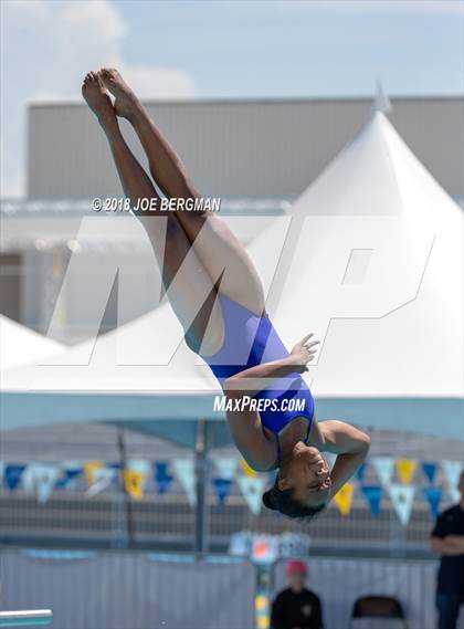 Thumbnail 1 in CIF Girls Diving Championships photogallery.