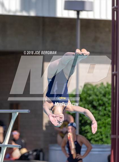 Thumbnail 1 in CIF Girls Diving Championships photogallery.