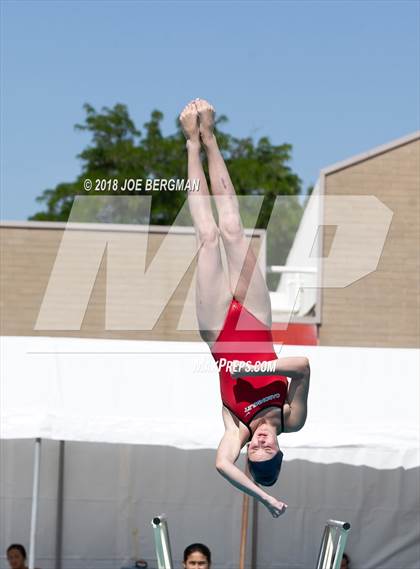 Thumbnail 1 in CIF Girls Diving Championships photogallery.