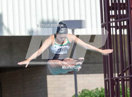 Thumbnail 2 in CIF Girls Diving Championships photogallery.