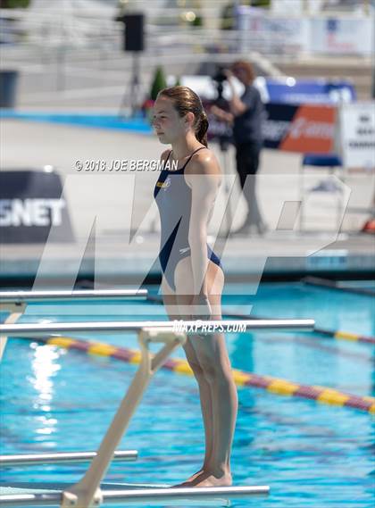 Thumbnail 1 in CIF Girls Diving Championships photogallery.