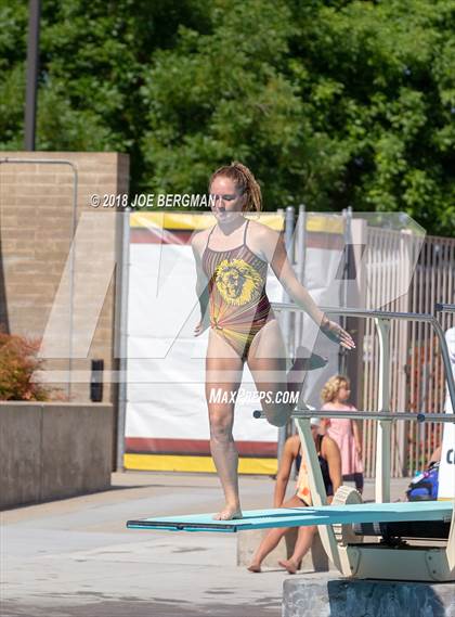 Thumbnail 1 in CIF Girls Diving Championships photogallery.