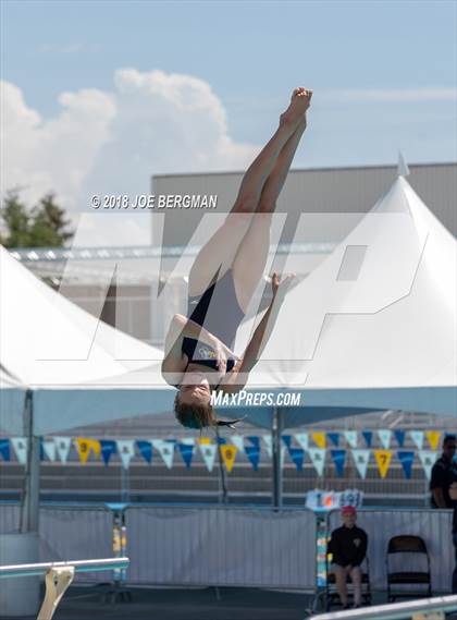 Thumbnail 1 in CIF Girls Diving Championships photogallery.