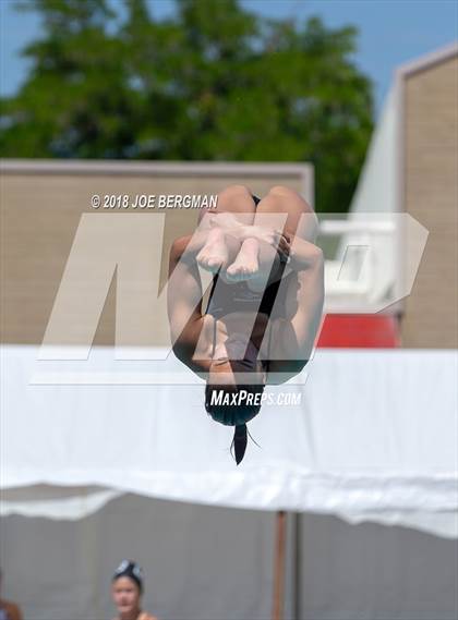 Thumbnail 1 in CIF Girls Diving Championships photogallery.