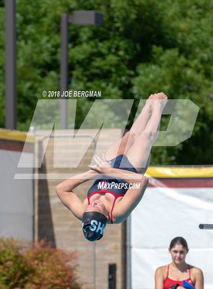 Thumbnail 2 in CIF Girls Diving Championships photogallery.