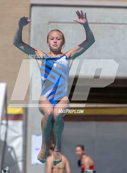 Thumbnail 3 in CIF Girls Diving Championships photogallery.