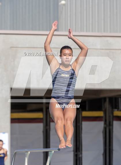 Thumbnail 2 in CIF Girls Diving Championships photogallery.