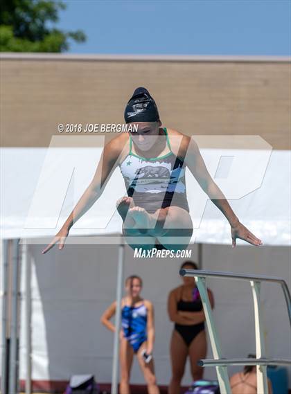 Thumbnail 1 in CIF Girls Diving Championships photogallery.