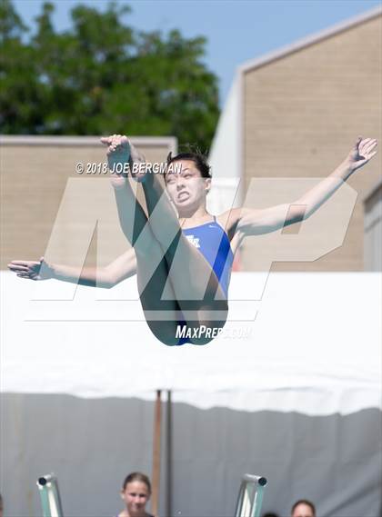 Thumbnail 1 in CIF Girls Diving Championships photogallery.