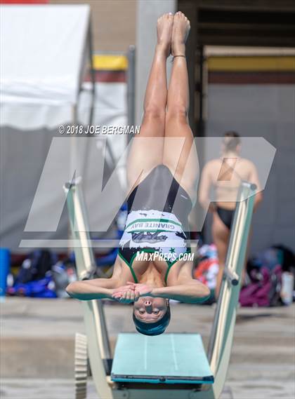 Thumbnail 2 in CIF Girls Diving Championships photogallery.