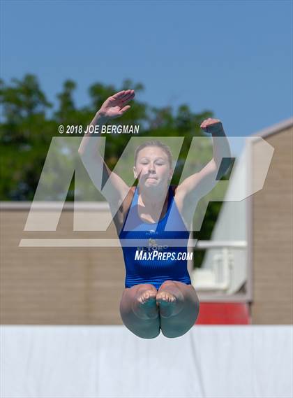 Thumbnail 1 in CIF Girls Diving Championships photogallery.