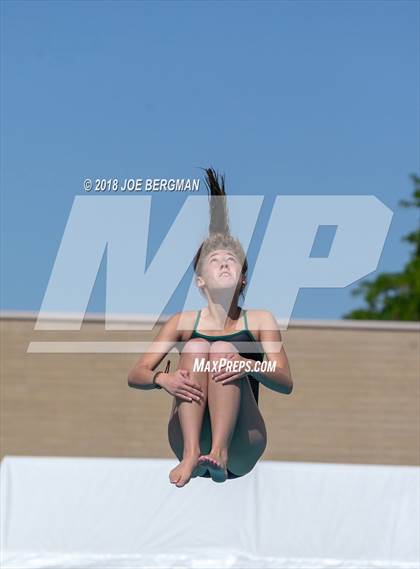 Thumbnail 3 in CIF Girls Diving Championships photogallery.