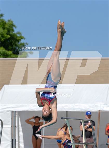 Thumbnail 3 in CIF Girls Diving Championships photogallery.