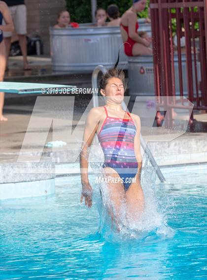 Thumbnail 1 in CIF Girls Diving Championships photogallery.