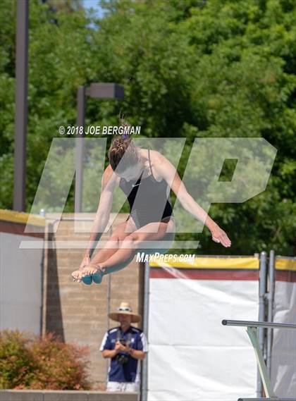 Thumbnail 2 in CIF Girls Diving Championships photogallery.