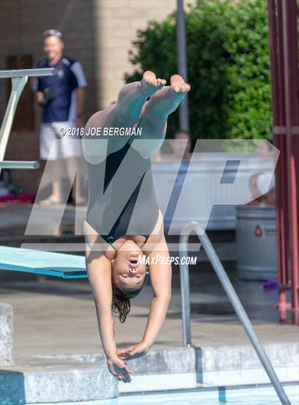 Thumbnail 1 in CIF Girls Diving Championships photogallery.