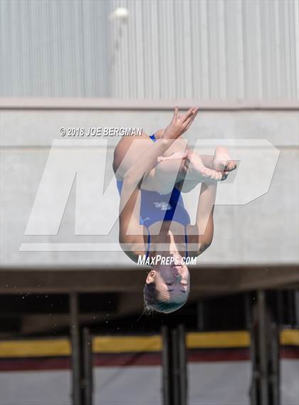 Thumbnail 1 in CIF Girls Diving Championships photogallery.