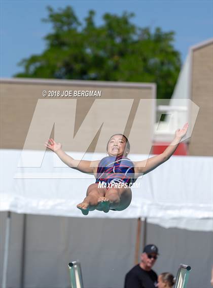 Thumbnail 2 in CIF Girls Diving Championships photogallery.