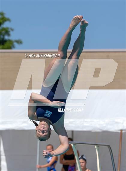 Thumbnail 2 in CIF Girls Diving Championships photogallery.