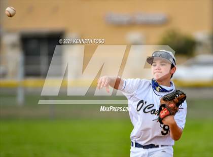 Thumbnail 2 in Warren @ O'Connor (JV) photogallery.