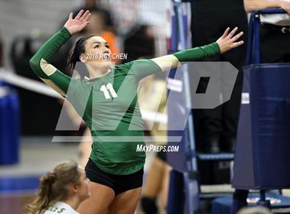 Thumbnail 3 in Mountain Vista vs. Fossil Ridge (CHSAA 5A Championship) photogallery.