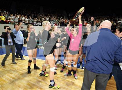 Thumbnail 2 in Mountain Vista vs. Fossil Ridge (CHSAA 5A Championship) photogallery.