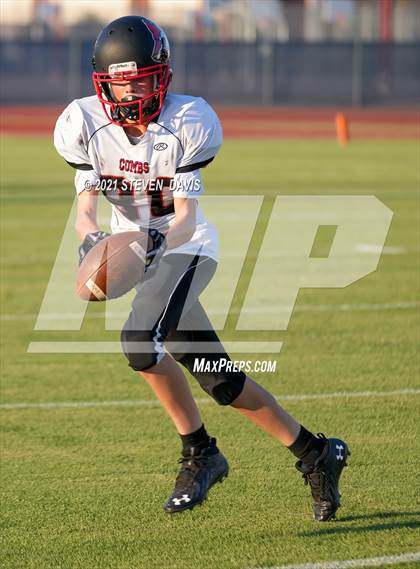 Thumbnail 1 in FR: Combs @ Mesquite photogallery.