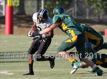 Thumbnail 1 in Paradise vs. Deer Valley photogallery.