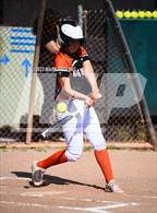 Photo from the gallery "Terra Nova @ Half Moon Bay"