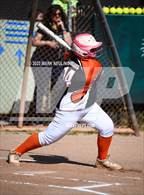 Photo from the gallery "Terra Nova @ Half Moon Bay"