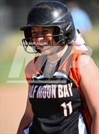 Photo from the gallery "Terra Nova @ Half Moon Bay"