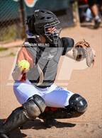 Photo from the gallery "Terra Nova @ Half Moon Bay"