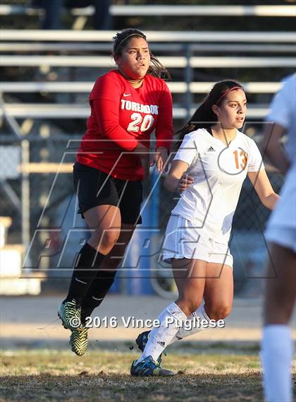 Thumbnail 1 in Taft @ Chatsworth photogallery.