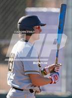Photo from the gallery "Saguaro @ Shadow Mountain"