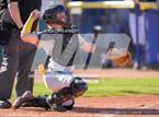 Photo from the gallery "Saguaro @ Shadow Mountain"