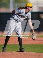 Photo from the gallery "Saguaro @ Shadow Mountain"