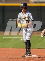 Photo from the gallery "Saguaro @ Shadow Mountain"