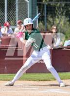 Photo from the gallery "Timberline @ Capital"
