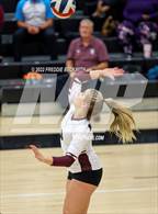 Photo from the gallery "Sherman @ Denison"
